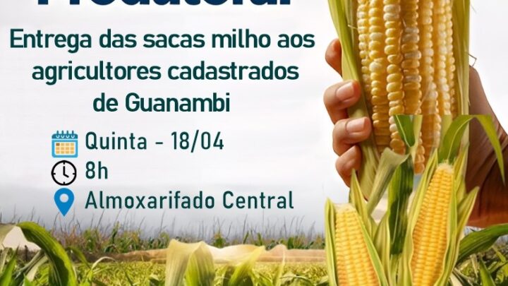 Secretaria de Agricultura de Guanambi e Governo do Estado iniciam entrega de sacas de milho para agricultores cadastrados