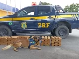 PRF apreende 100 kg de maconha em ônibus na BR-116 em Vitória da Conquista