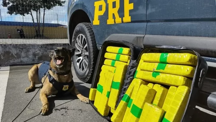 Jovem de 28 anos é preso com 22,7 kg de maconha em Vitória da Conquista