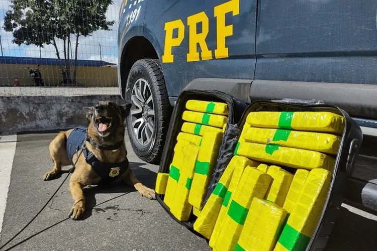 Jovem de 28 anos é preso com 22,7 kg de maconha em Vitória da Conquista