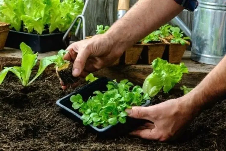 Riacho de Santana: Uneb inicia primeiro curso de Agroecologia do Brasil em licenciatura