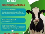 Prefeitura de Pindaí abre inscrições para Programa Pecuária Brasil