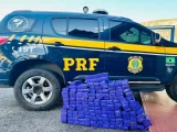 Jequié: PRF apreende 130 kg de maconha em veículo roubado