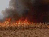 Incêndio de grandes proporções é controlado após dois dias em Riacho de Santana