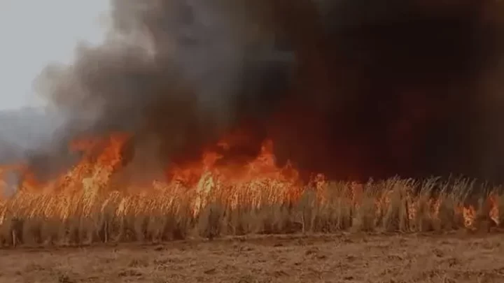 Incêndio de grandes proporções é controlado após dois dias em Riacho de Santana