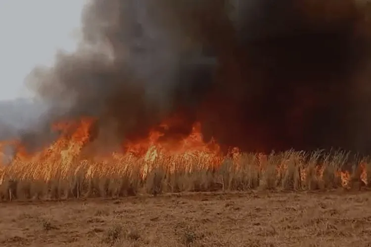 Incêndio de grandes proporções é controlado após dois dias em Riacho de Santana