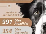 Centro de Controle de Natalidade Canina de Guanambi realizou 350 castrações nos primeiros dez meses deste ano