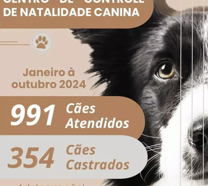 Centro de Controle de Natalidade Canina de Guanambi realizou 350 castrações nos primeiros dez meses deste ano