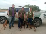 Equipe da Secretaria de Meio Ambiente de Guanambi resgata animais em situação de maus-tratos