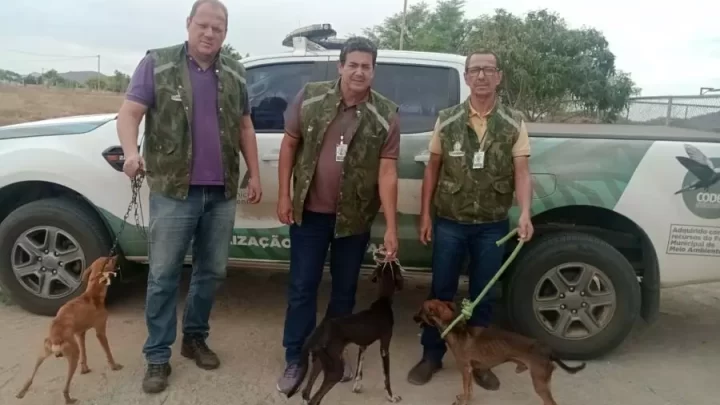 Equipe da Secretaria de Meio Ambiente de Guanambi resgata animais em situação de maus-tratos