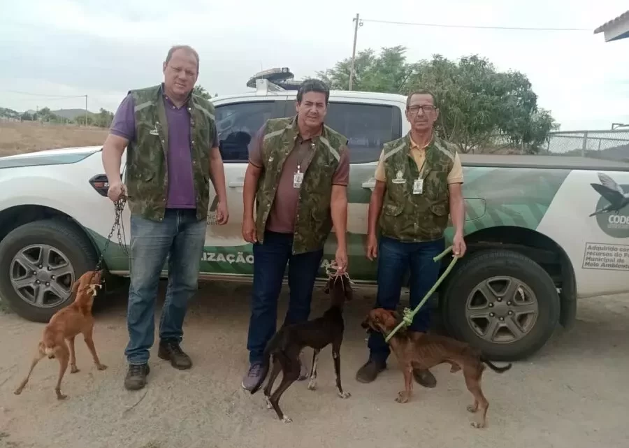 Equipe da Secretaria de Meio Ambiente de Guanambi resgata animais em situação de maus-tratos