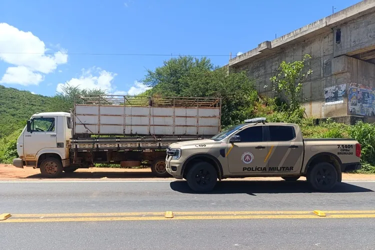 Caminhão adulterado é apreendido na BR-030 em Lagoa Real