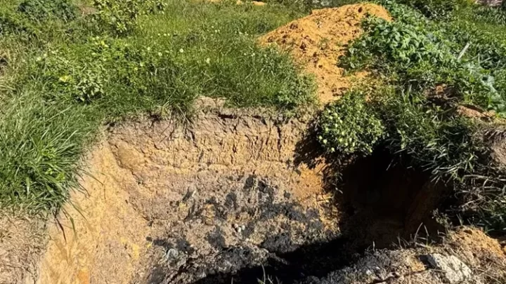 Gerente da Embasa é preso em flagrante por crime ambiental em Itamaraju