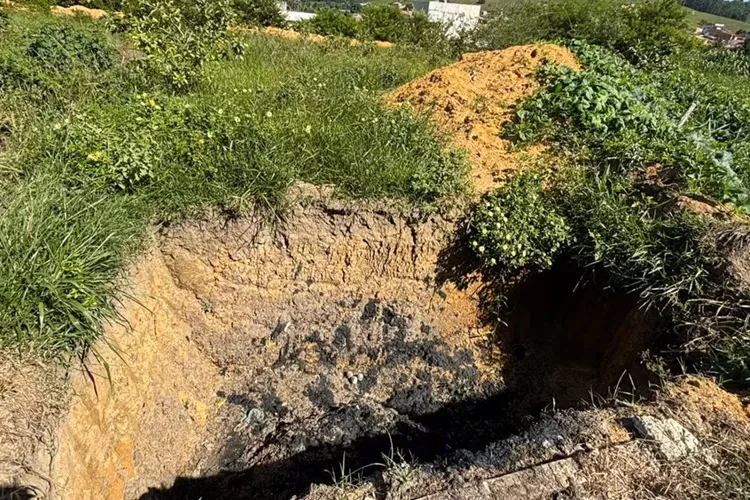 Gerente da Embasa é preso em flagrante por crime ambiental em Itamaraju