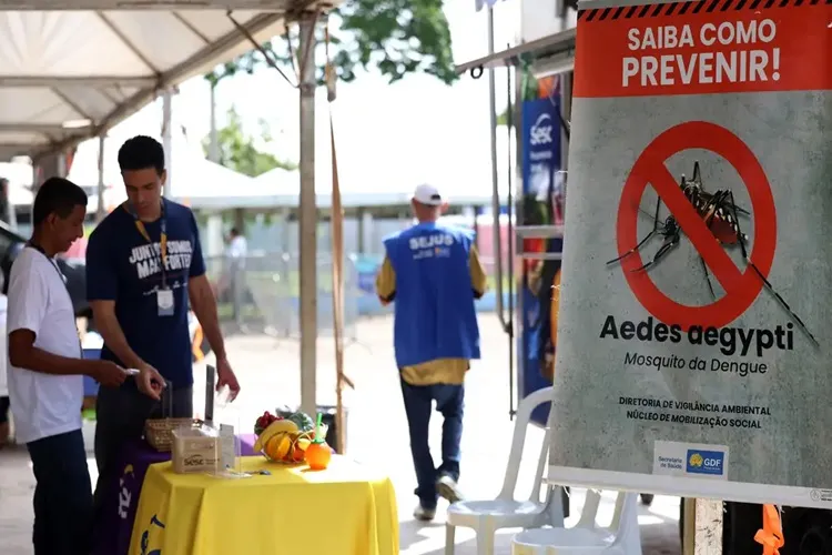 Casos de dengue no Brasil caem 60% nas primeiras semanas do ano