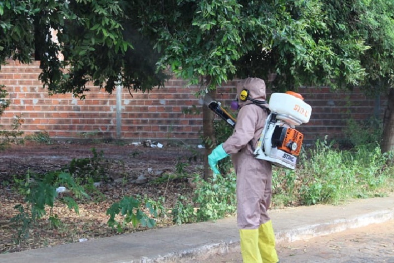 Bahia tem queda de mais de 86% nos casos de dengue em 2025