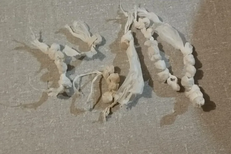 Guanambi: Adolescente é apreendido com 25 pedras de crack no Mutãs Folia Guanambi: Adolescente é apreendido com 25 pedras de crack no Mutãs Folia