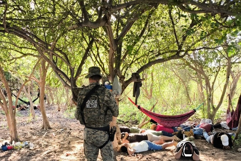 Torneio ilegal de caça de animais silvestres é desarticulado no norte da Bahia Torneio ilegal de caça de animais silvestres é desarticulado no norte da Bahia