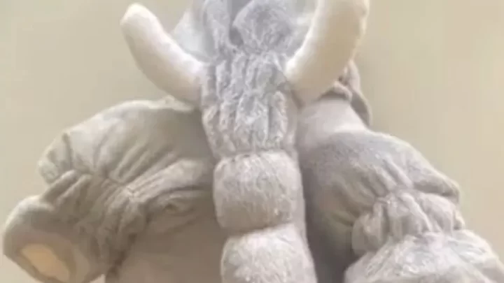 Jaguaquara: Mulher é detida com R$ 20 mil em um elefante de pelúcia
