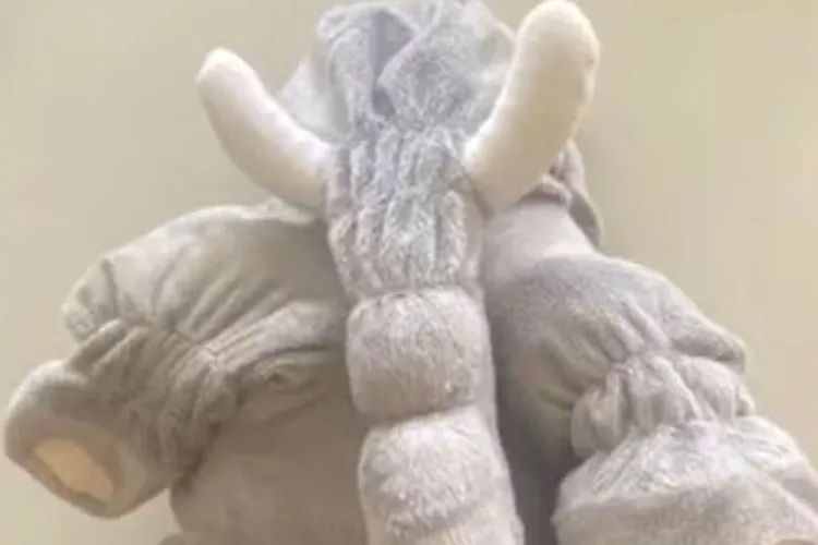 Jaguaquara: Mulher é detida com R$ 20 mil em um elefante de pelúcia Jaguaquara: Mulher é detida com R$ 20 mil em um elefante de pelúcia