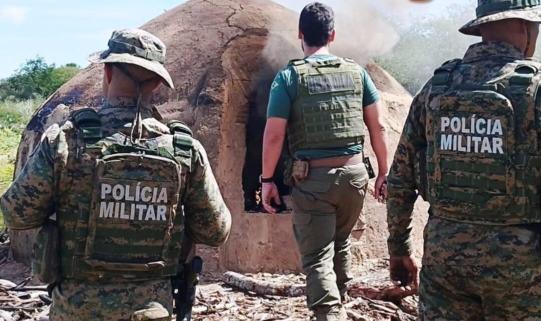 Fornos para produção ilegal de carvão são destruídos pela CIPPA Lençóis na zona rural de Riacho de Santana Fornos para produção ilegal de carvão são destruídos pela CIPPA Lençóis na zona rural de Riacho de Santana