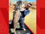 Pescador de Guanambi fisga surubim de 46 quilos no Rio São Francisco