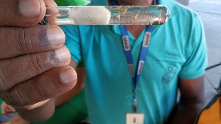 Bahia reforça combate à dengue durante Semana Nacional de Mobilização