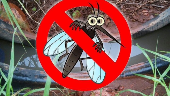 Casos de dengue na Bahia têm redução de 86% em 2025