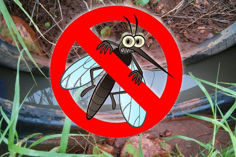 Casos de dengue na Bahia têm redução de 86% em 2025