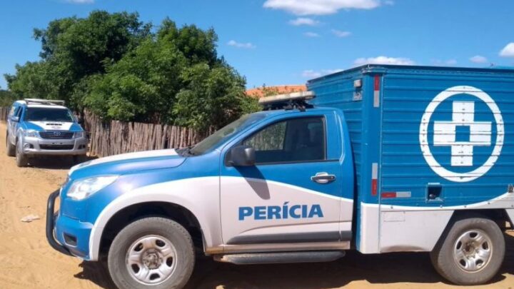 Trabalhador é encontrado morto após suposto ataque de abelhas na zona rural de Bom Jesus da Lapa