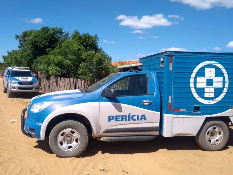 Trabalhador é encontrado morto após suposto ataque de abelhas na zona rural de Bom Jesus da Lapa