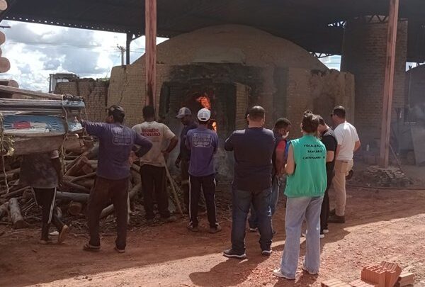 Polícia Civil e Vigilância Sanitária incineram grande quantidade de drogas em Carinhanha