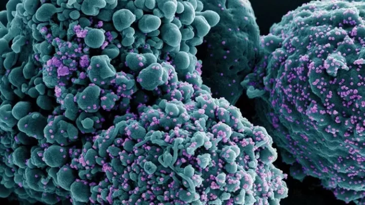 Nova variante da Covid-19 é confirmada em 23 países