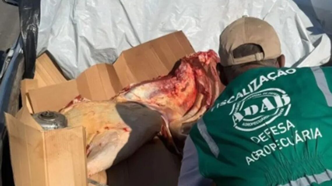 Mais de uma tonelada de carne irregular é apreendida em Candiba e Palmas de Monte Alto