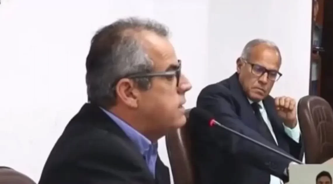Vereador na Bahia sugere eutanásia para reduzir população de animais de rua