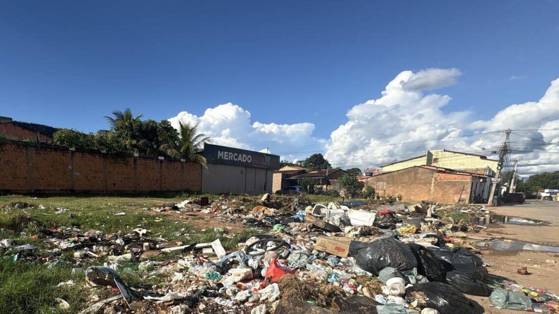 Prefeitura de Barreiras intensifica fiscalização de terrenos e lotes sujos e já emitiu mais de 250 notificações em 2026