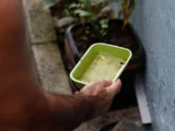 Bahia registra queda de 41% nos casos de dengue em 2026