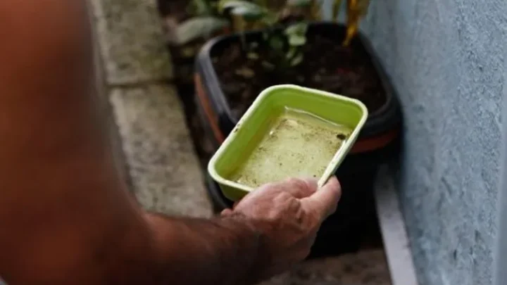 Bahia registra queda de 41% nos casos de dengue em 2026