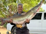 Pescador de Guanambi fisga surubim de quase 50 kg no Rio São Francisco Pescador de Guanambi fisga surubim de quase 50 kg no Rio São Francisco