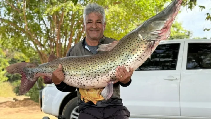 Pescador de Guanambi fisga surubim de quase 50 kg no Rio São Francisco