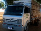 Caminhão boiadeiro é furtado em estacionamento de posto de combustíveis em Palmas de Monte Alto