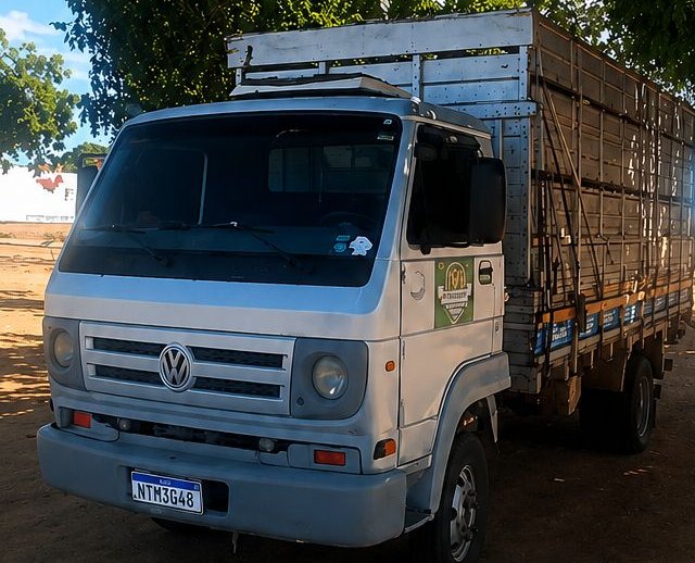 Caminhão boiadeiro é furtado em estacionamento de posto de combustíveis em Palmas de Monte Alto