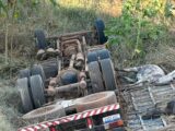 Carreta carregada com gado tomba na BR-242 e deixa dois homens mortos em Muquém do São Francisco