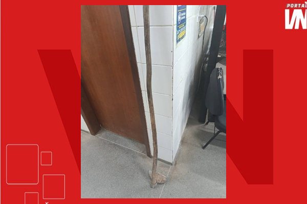 Homem é conduzido à delegacia após ameaçar moradores com enxada em Palmas de Monte Alto