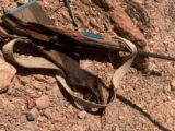Homem morre após disparo acidental com arma artesanal na zona rural de Érico Cardoso