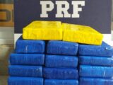 PRF apreende drogas e medicamentos estrangeiros durante fiscalização em ônibus na BR-116, em Vitória da Conquista PRF apreende drogas e medicamentos estrangeiros durante fiscalização em ônibus na BR-116, em Vitória da Conquista