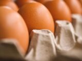 Consumo de ovos no Brasil deve crescer e chegar a 307 unidades por pessoa em 2026