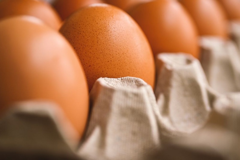 Consumo de ovos no Brasil deve crescer e chegar a 307 unidades por pessoa em 2026