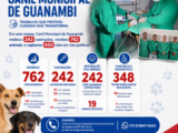 Em seis meses, Canil Municipal de Guanambi realizou 242 castrações, recebeu 762 animais e capturou 450 cães em vias públicas Em seis meses, Canil Municipal de Guanambi realizou 242 castrações, recebeu 762 animais e capturou 450 cães em vias públicas