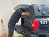 Suspeito de matar homem achado carbonizado é preso em Sebastião Laranjeiras
